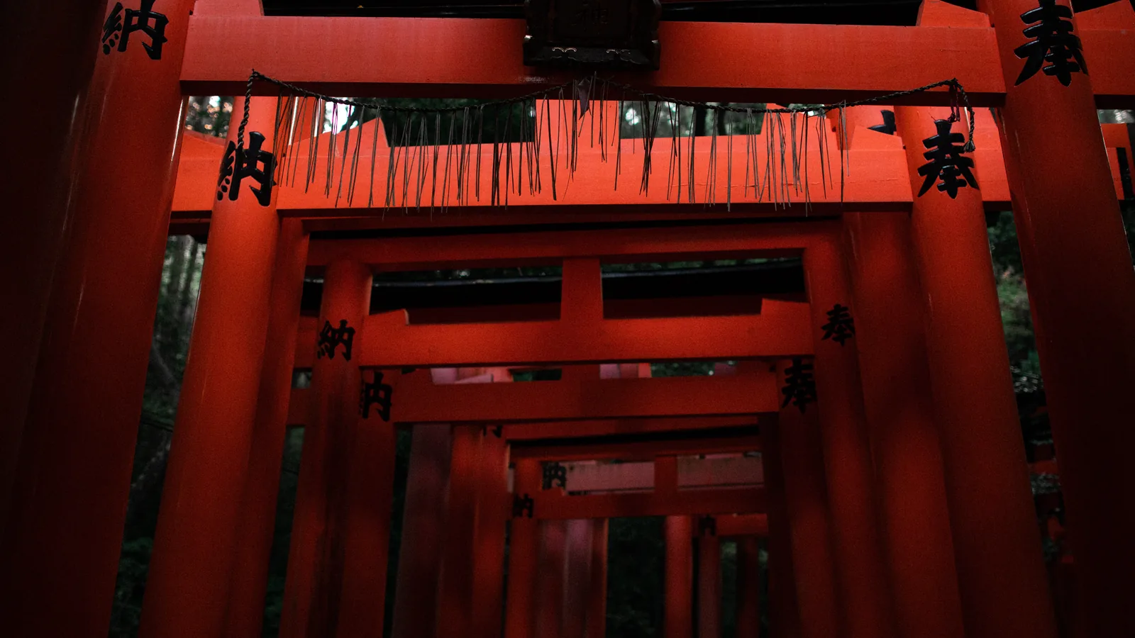 Torii-Tore am Fushimi Inari Taisha mit japanischen Schriftzeichen