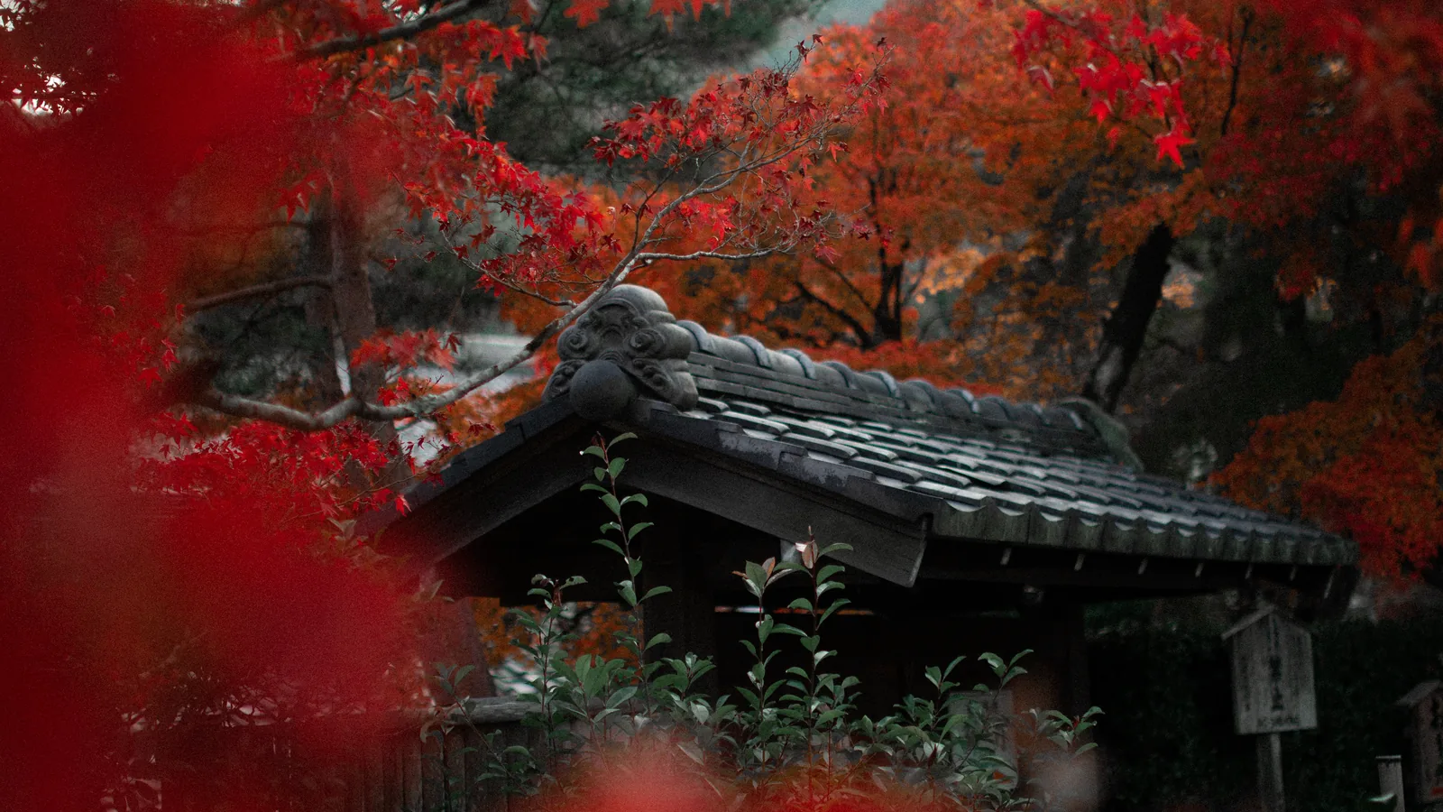 Japanischer Tempel im roten Herbstlaub – japanische Aussprache lernen